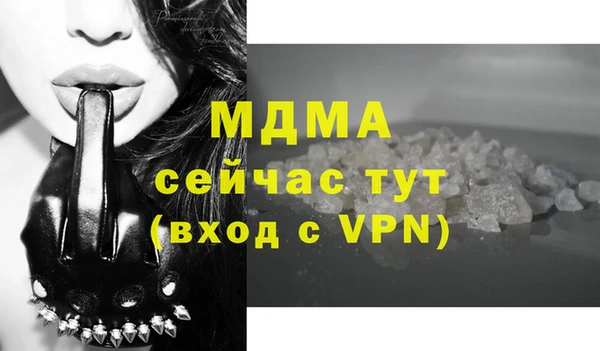 прущие грибы Абинск
