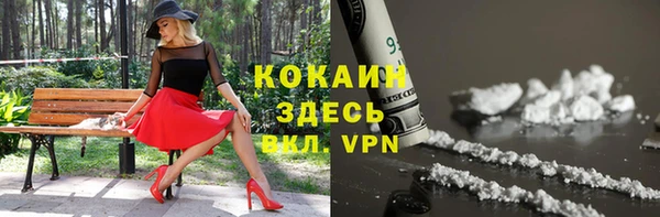 прущие грибы Абинск